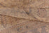 Antique Oushak Area Rug (7' x 8')